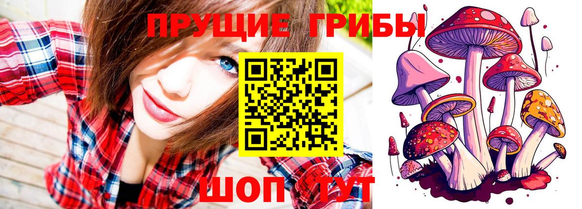 где продают наркотики  Мичуринск  Псилоцибиновые грибы мицелий 