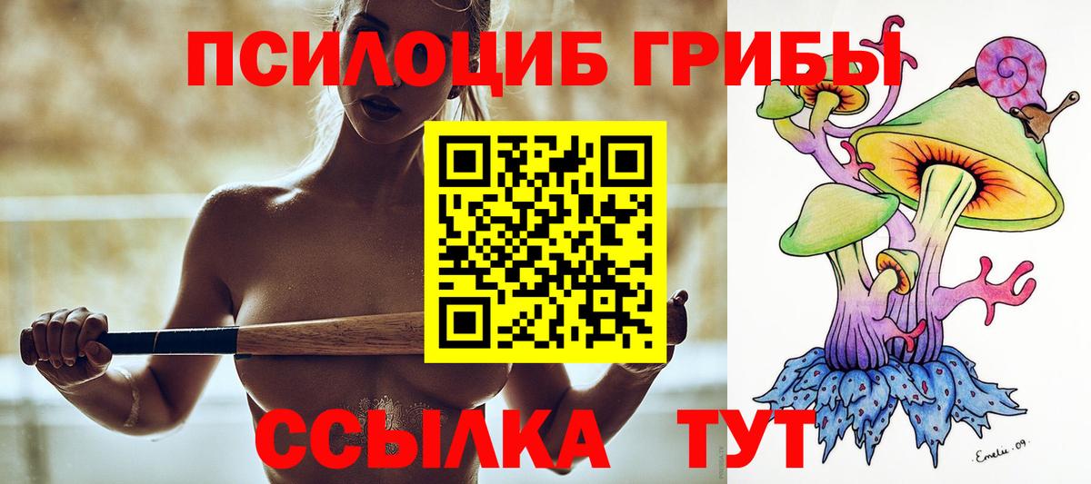 Псилоцибиновые грибы ЛСД  Вход с VPN  закладка  Мичуринск 