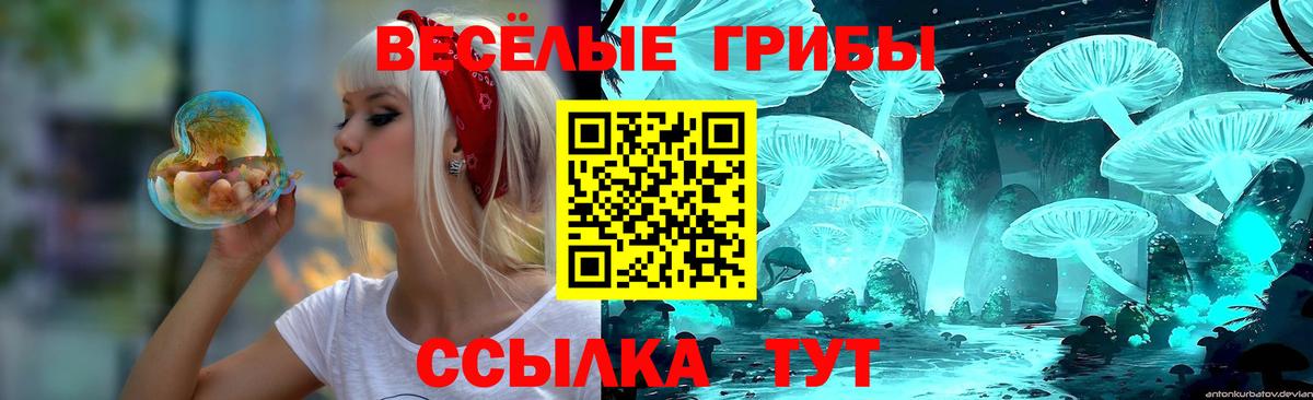 Псилоцибиновые грибы GOLDEN TEACHER Мичуринск