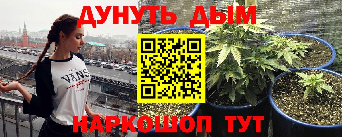 Марихуана конопля  Вход с VPN  Мичуринск  МАРИХУАНА марихуана  Бошки марихуана марихуана  Конопля тримм 